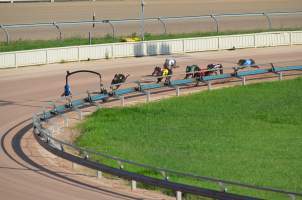 Greyhound Racing - Captured at Maitland Greyhounds, South Maitland NSW Australia.