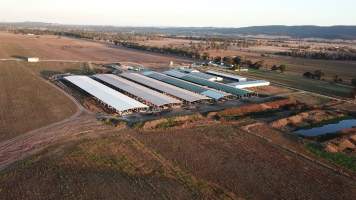 Aerial view from drone - Captured at Cibus Goats, Trafalgar East VIC Australia.