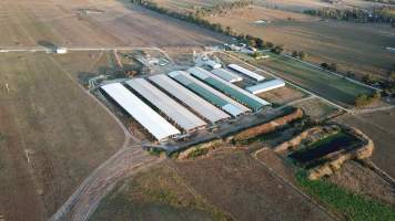 Aerial view from drone - Captured at Cibus Goats, Trafalgar East VIC Australia.