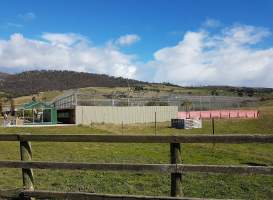 Side view of wild cat enclosures. At the front (dark green) is the serval enclosure housing two animals imported to the zoo in 2018. To the rear (grey and red) is the lion enclosure housing three animals; they are held on display all day in the grey enclosure and used for hand-feeding experiences by the crowd. Cubs bred at this facility are removed from their mothers at 5 weeks old to be handraised, making them usable for one-on-one interactions with paying public. - Captured at Zoodoo Zoo, Tea Tree TAS Australia.