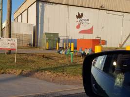 Captured at Golden Farms Poultry Abattoir, Breakwater VIC Australia.