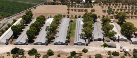 Broiler Farm - Captured at Unknown, Mariginiup WA Australia.