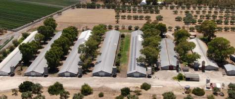 Broiler Farm - Captured at Unknown, Mariginiup WA Australia.