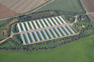 Aerial - Captured at ProTen Farm 60, Tharbogang NSW Australia.