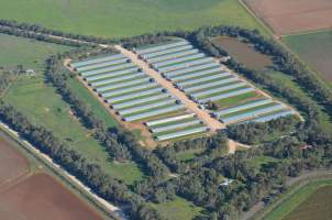 Aerial - Captured at ProTen Farm 61, Tharbogang NSW Australia.