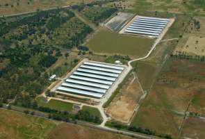 Aerial - Captured at ProTen 'Henderson' Broiler Farm, Hopeland WA Australia.