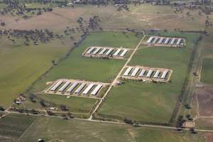 Aerial - Captured at Gidley Poultry Production Complex, Gidley NSW Australia.