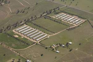 Aerial - Captured at Bective Poultry Production Complex, Bective NSW Australia.