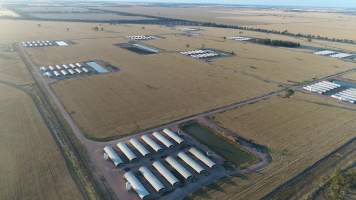 Drone flyover - Captured at Moore Park Piggery, Reefton NSW Australia.