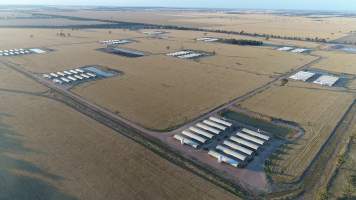 Drone flyover - Captured at Moore Park Piggery, Reefton NSW Australia.