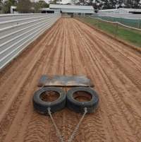 Captured at Catch Me If You Can Kennels, Lethbridge VIC Australia.