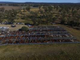 Drone - Monto Cattle & Country Saleyards
https://montocattleandcountry.com.au/monto-cattle-country-saleyards/ - Captured at Monto Cattle & Country Saleyards, Monto QLD Australia.