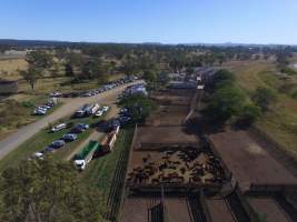 Drone - Monto Cattle & Country Saleyards
https://montocattleandcountry.com.au/monto-cattle-country-saleyards/ - Captured at Monto Cattle & Country Saleyards, Monto QLD Australia.