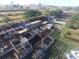 Drone - Monto Cattle & Country Saleyards
https://montocattleandcountry.com.au/monto-cattle-country-saleyards/ - Captured at Monto Cattle & Country Saleyards, Monto QLD Australia.
