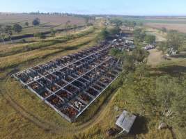 Drone - Monto Cattle & Country Saleyards
https://montocattleandcountry.com.au/monto-cattle-country-saleyards/ - Captured at Monto Cattle & Country Saleyards, Monto QLD Australia.