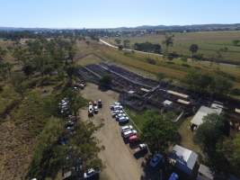 Drone - Monto Cattle & Country Saleyards
https://montocattleandcountry.com.au/monto-cattle-country-saleyards/ - Captured at Monto Cattle & Country Saleyards, Monto QLD Australia.