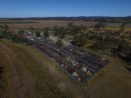 Drone - Monto Cattle & Country Saleyards
https://montocattleandcountry.com.au/monto-cattle-country-saleyards/ - Captured at Monto Cattle & Country Saleyards, Monto QLD Australia.