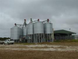 Captured at Kurleah Dairy Farm, Mount Schank SA Australia.