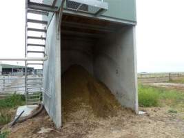 Captured at Kurleah Dairy Farm, Mount Schank SA Australia.