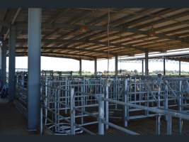 https://www.realestate.com.au/sold/property-other-sa-two+wells-7843250 - Captured at Korunye Dairy, Korunye SA Australia.