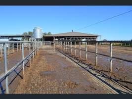 https://www.realestate.com.au/sold/property-other-sa-two+wells-7843250 - Captured at Korunye Dairy, Korunye SA Australia.