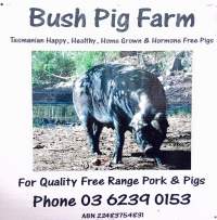 Captured at Bush Pig Farm, Collinsvale TAS Australia.