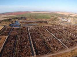 Captured at LemonTree Feedlot, Lemontree QLD Australia.