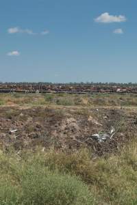 Captured at LemonTree Feedlot, Lemontree QLD Australia.