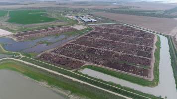 Aerial view of feedlot - Captured at LemonTree Feedlot, Lemontree QLD Australia.