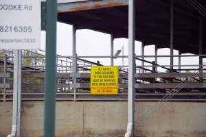 Captured at Shepparton Regional Saleyards, Shepparton VIC Australia.