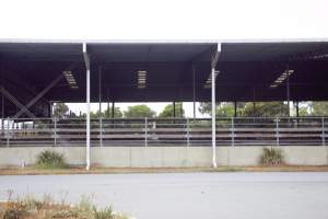 Captured at Shepparton Regional Saleyards, Shepparton VIC Australia.