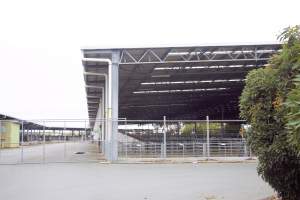 Captured at Shepparton Regional Saleyards, Shepparton VIC Australia.