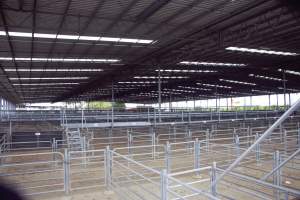 Captured at Shepparton Regional Saleyards, Shepparton VIC Australia.