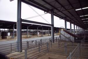 Captured at Shepparton Regional Saleyards, Shepparton VIC Australia.