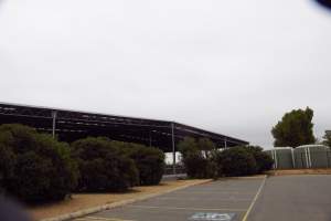 Captured at Shepparton Regional Saleyards, Shepparton VIC Australia.