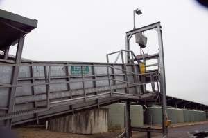 Captured at Shepparton Regional Saleyards, Shepparton VIC Australia.