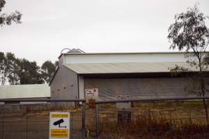 Captured at Unknown piggery, Pine Lodge VIC Australia.