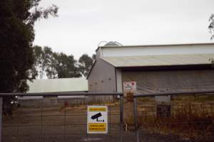 Captured at Unknown piggery, Pine Lodge VIC Australia.