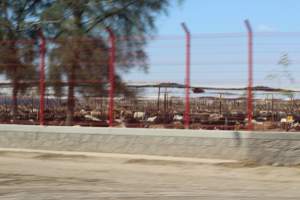 SuKarne - (Couldn't get any good photos from the outside) - Captured at SuKarne Planta Mexicali, B.C. Mexico.