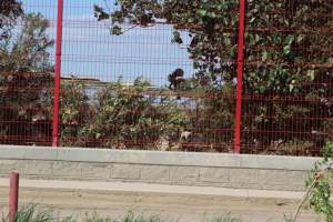 SuKarne - (Couldn't get any good photos from the outside) - Captured at SuKarne Planta Mexicali, B.C. Mexico.