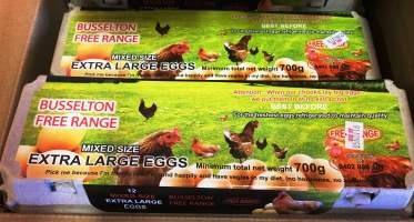 Busselton Free Range Egg Farm - https://landmarkharcourts.com.au/Property/778707/LEP28853/Busselton-Free-Range-Vegi-Egg-Farm - Captured at Busselton Free Range Vegi Egg Farm, Ludlow WA Australia.