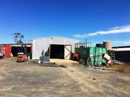 Busselton Free Range Egg Farm - https://landmarkharcourts.com.au/Property/778707/LEP28853/Busselton-Free-Range-Vegi-Egg-Farm - Captured at Busselton Free Range Vegi Egg Farm, Ludlow WA Australia.