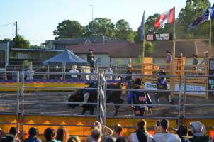 Xtreme Bulls Rodeo - Penrith - 'Mini Buckers' - Captured at Penrith NSW.