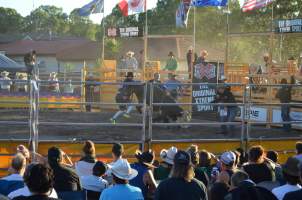 Xtreme Bulls Rodeo - Penrith - 'Mini Buckers' - Captured at Penrith NSW.