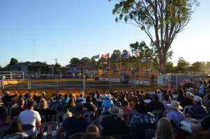 Xtreme Bulls Rodeo - Penrith - The crowd at the Jamison Hotel watches as the bulls are trapped in the bucking chutes. - Captured at Penrith NSW.