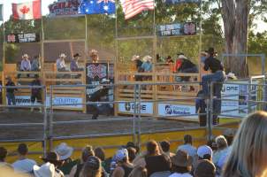 Xtreme Bulls Rodeo - Penrith - Captured at Penrith NSW.