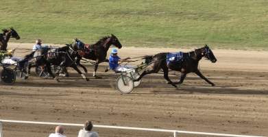 Harness Racing - Penrith Paceway - Captured at NSW.