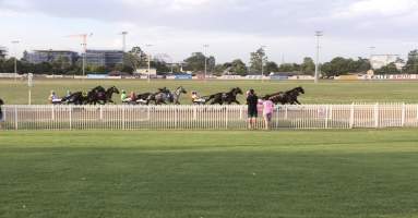 Harness Racing - Penrith Paceway - Captured at NSW.