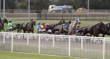 Harness Racing - Penrith Paceway - Captured at Penrith NSW.