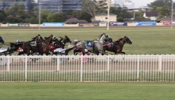 Harness Racing - Penrith Paceway - Captured at Penrith NSW.